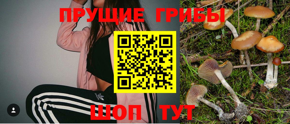 Псилоцибиновые грибы MAGIC MUSHROOMS Алатырь