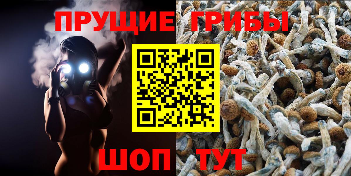Алатырь  Галлюциногенные грибы Psilocybe  Псилоцибиновые грибы Psilocybe  Вход с VPN 